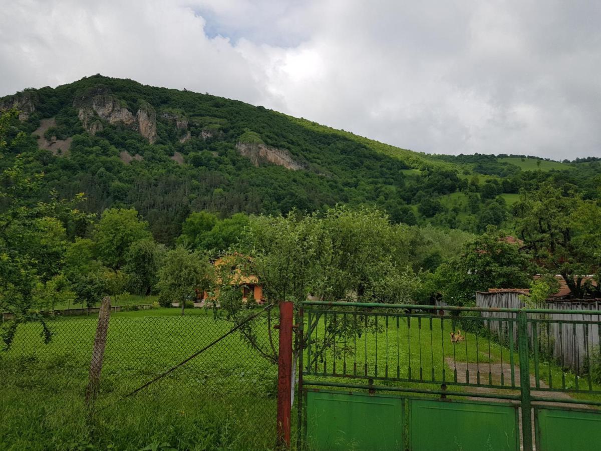 Мечтаната селска къща на реката със семейство и приятели! Рибариця Екстер'єр фото